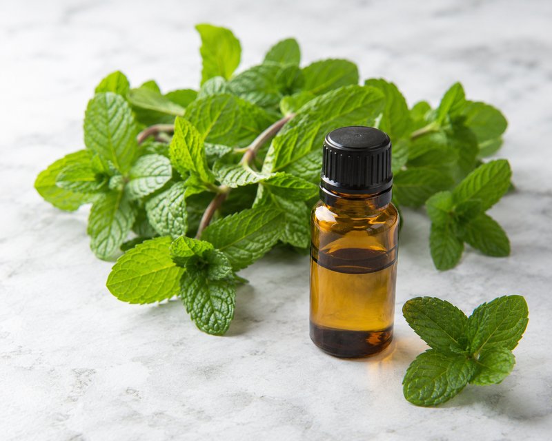 Peppermint Oil
